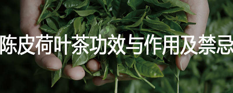 陈皮荷叶茶功效与作用及禁忌