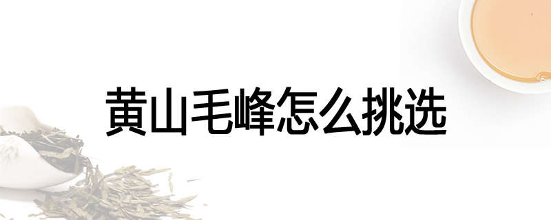 黄山毛峰怎么挑选