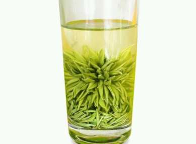 采花毛尖茶怎么泡