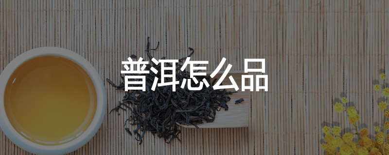 普洱怎么品