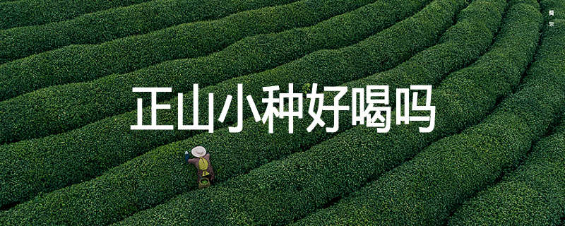正山小种好喝吗