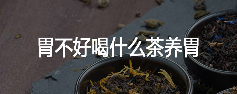 胃不好喝什么茶养胃