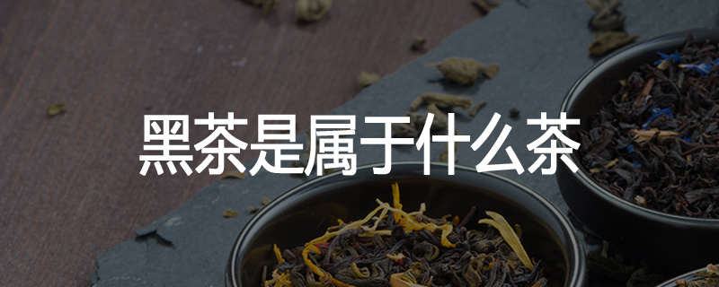 黑茶是属于什么茶