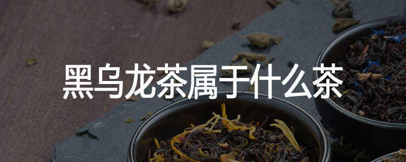 黑乌龙茶属于什么茶