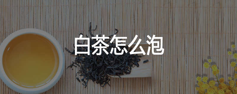 白茶怎么泡