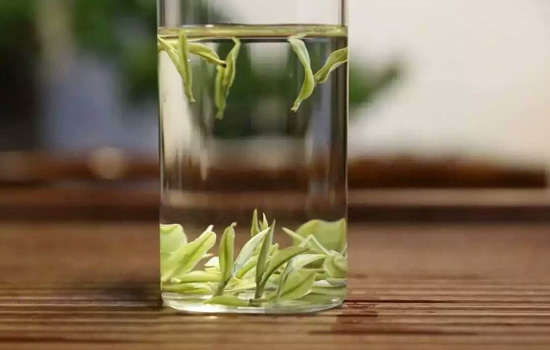 安吉白茶怎么煮
