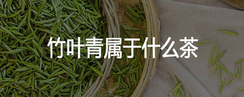 竹叶青属于什么茶