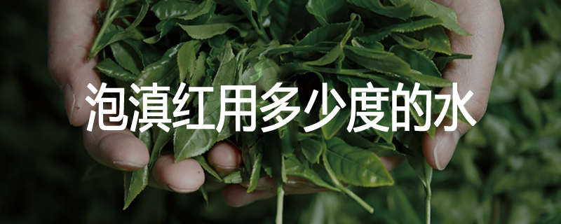 泡滇红用多少度的水