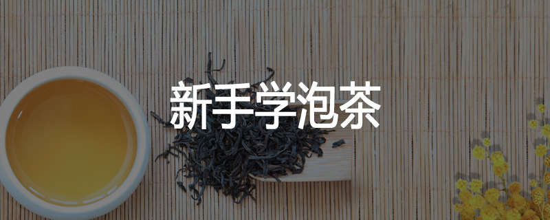 新手学泡茶