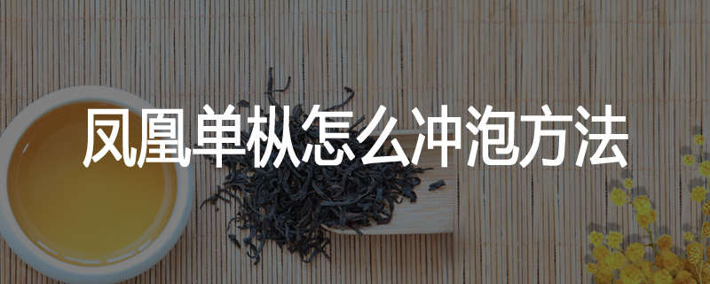 凤凰单枞怎么冲泡方法