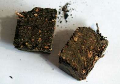 黑砖茶的泡冲水温