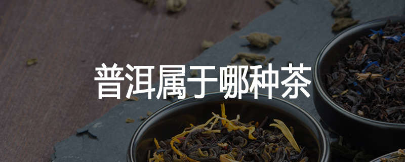 普洱属于哪种茶