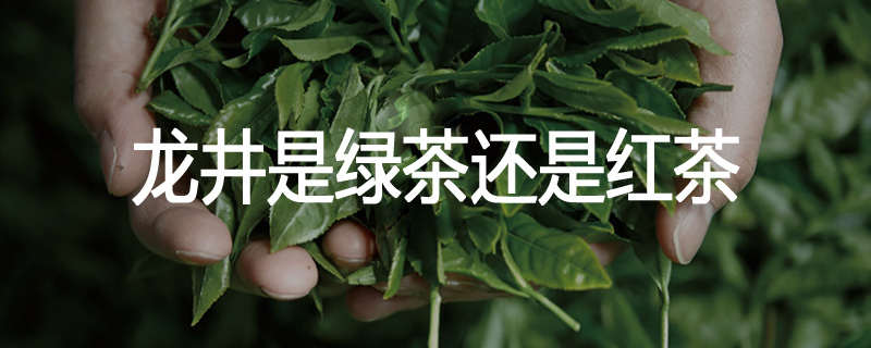 龙井是绿茶还是红茶