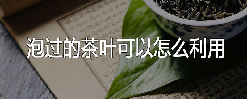 泡过的茶叶可以怎么利用