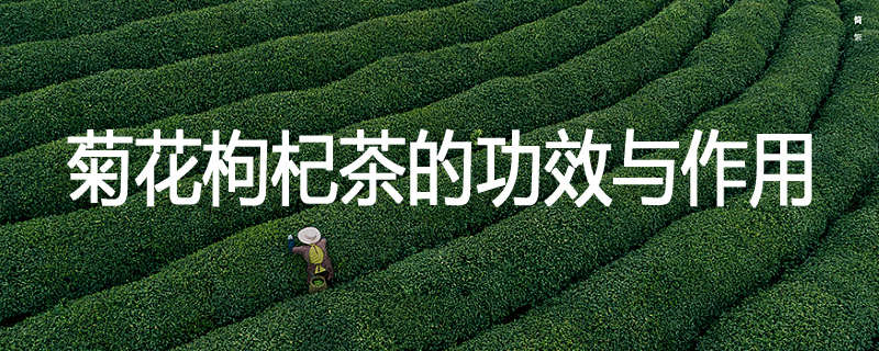 菊花枸杞茶的功效与作用