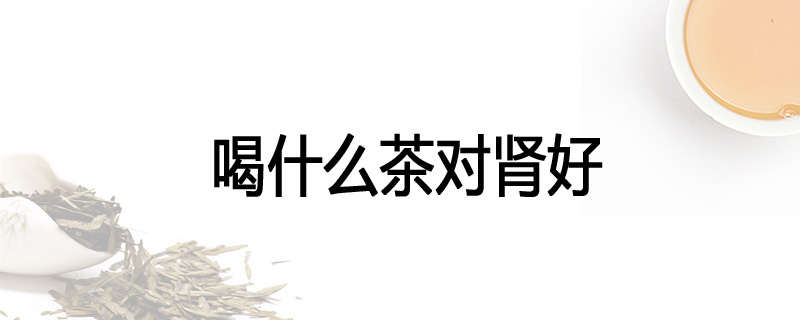 喝什么茶对肾好