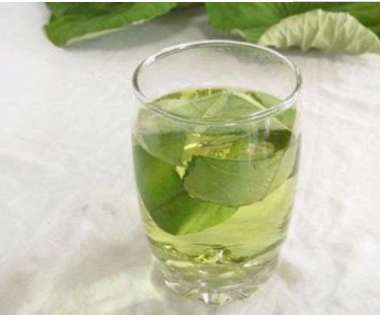 陈皮荷叶茶怎么煮