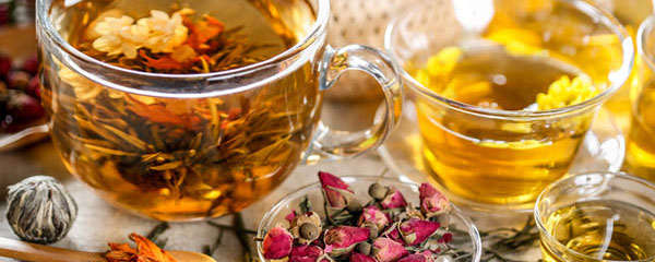 那种花茶减肥效果最好
