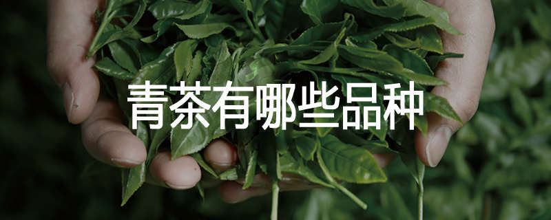 青茶有哪些品种