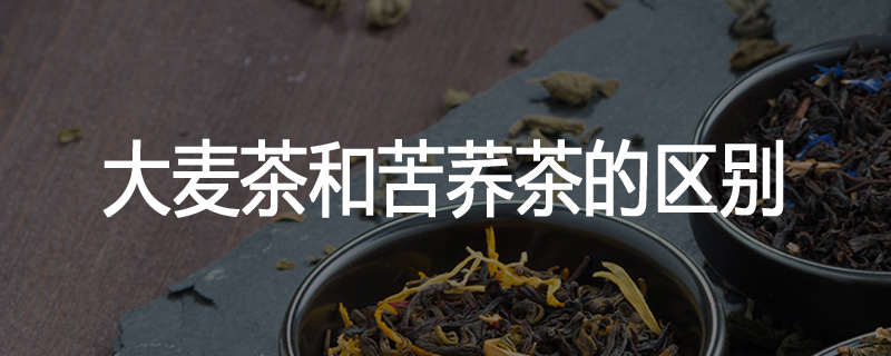 大麦茶和苦荞茶的区别