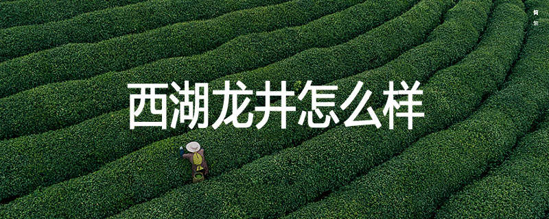 西湖龙井怎么样