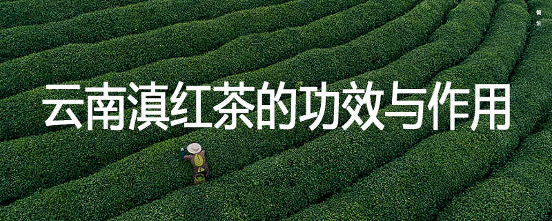 云南滇红茶的功效与作用