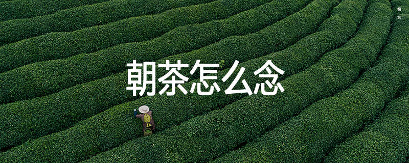 朝茶怎么念
