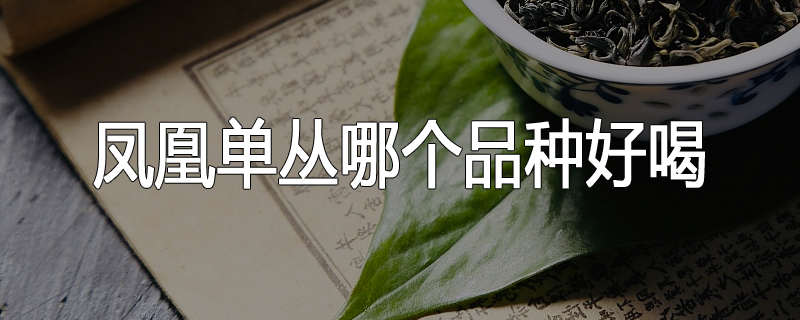 凤凰单丛哪个品种好喝