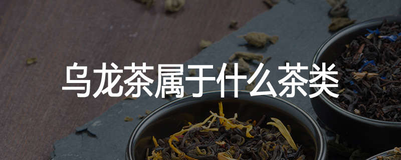 乌龙茶属于什么茶类