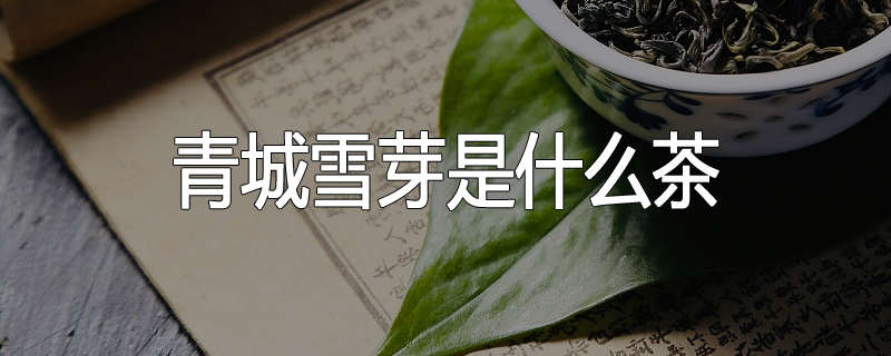 青城雪芽是什么茶