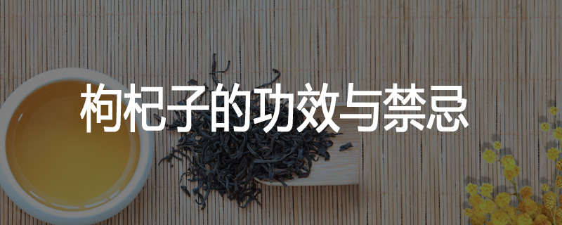 枸杞子的功效与禁忌