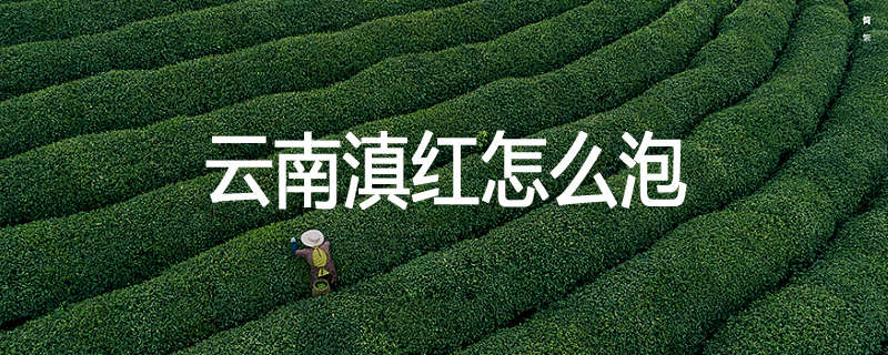 云南滇红怎么泡