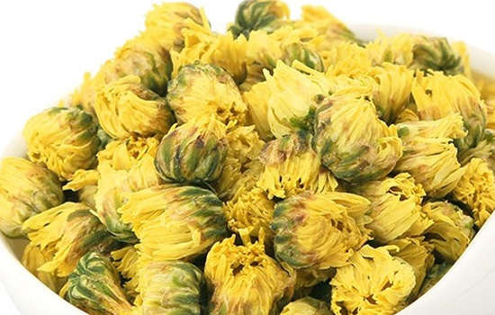 胎菊和野菊花哪个好