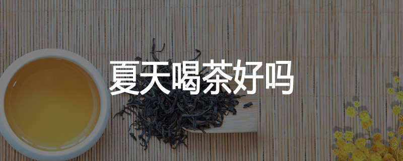夏天喝茶好吗