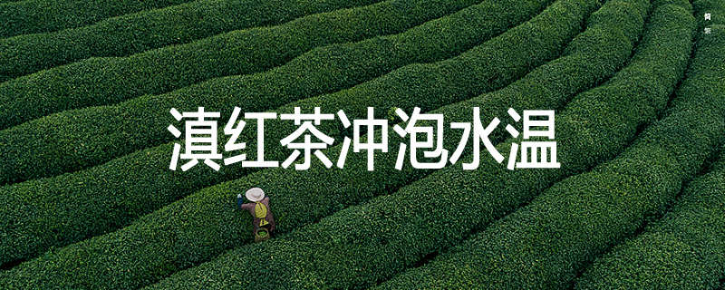 滇红茶冲泡水温