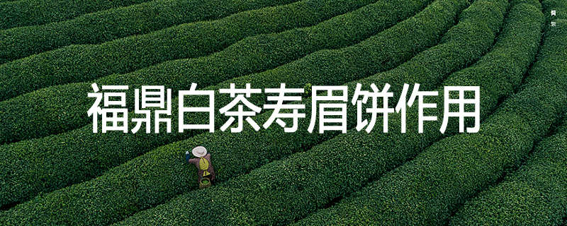 福鼎白茶寿眉饼作用