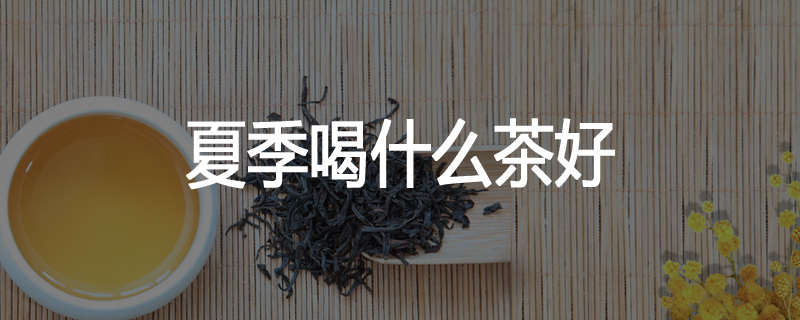 夏季喝什么茶好