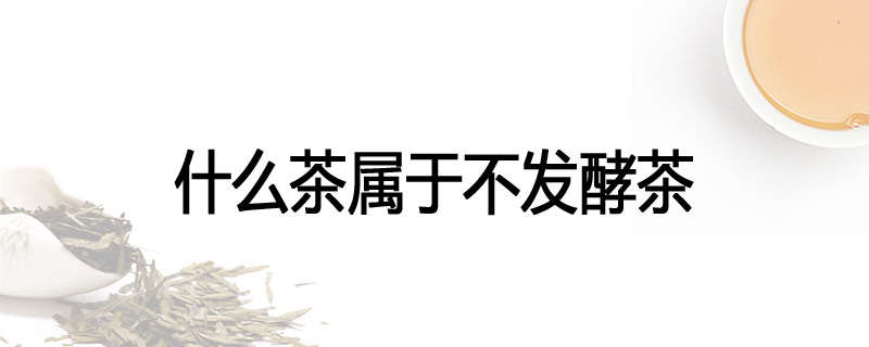 什么茶属于不发酵茶