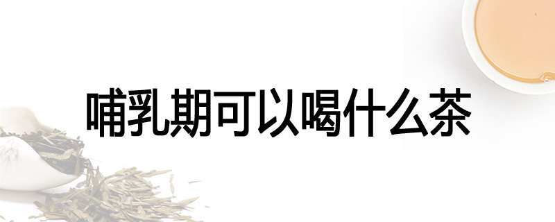 哺乳期可以喝什么茶