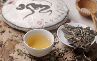 福鼎白茶怎么泡