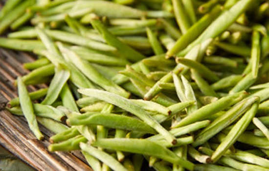 竹叶青茶有点苦怎么事