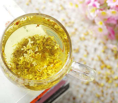 生桂花茶能泡吗