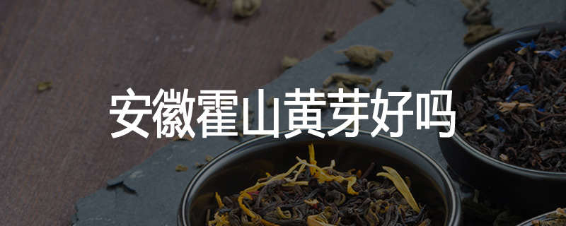 安徽霍山黄芽好吗