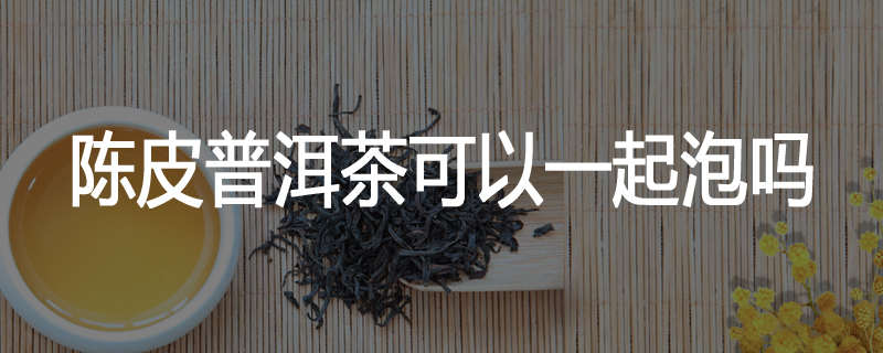 陈皮普洱茶可以一起泡吗