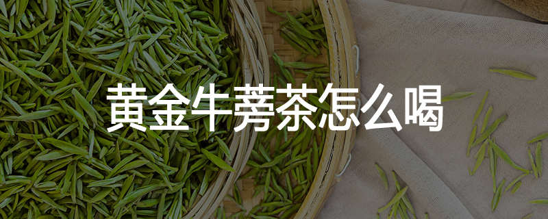 黄金牛蒡茶怎么喝