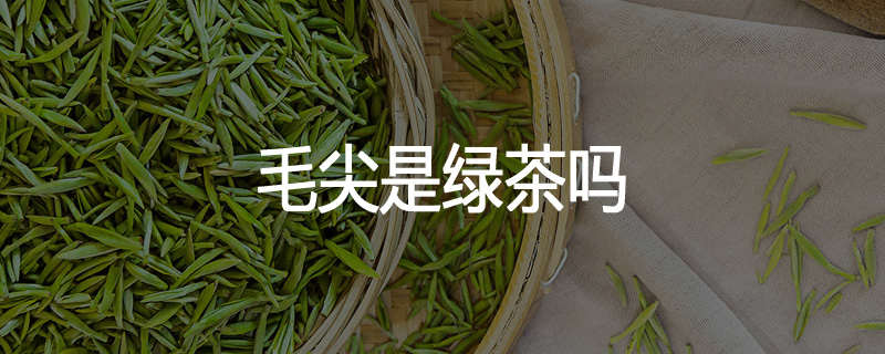 毛尖是绿茶吗