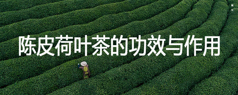 陈皮荷叶茶的功效与作用