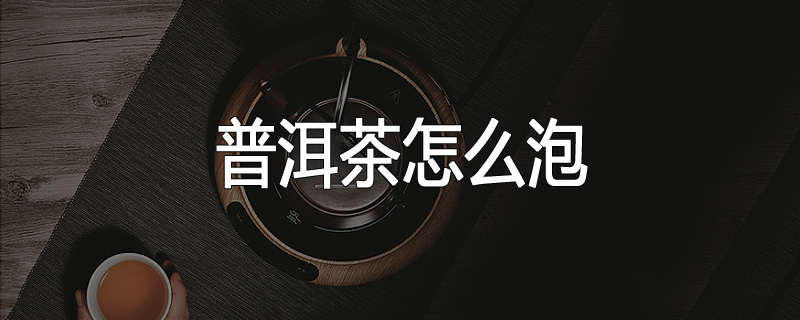 普洱茶怎么泡