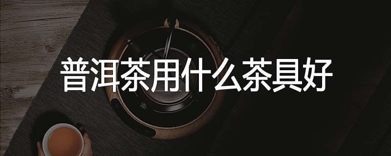 普洱茶用什么茶具好