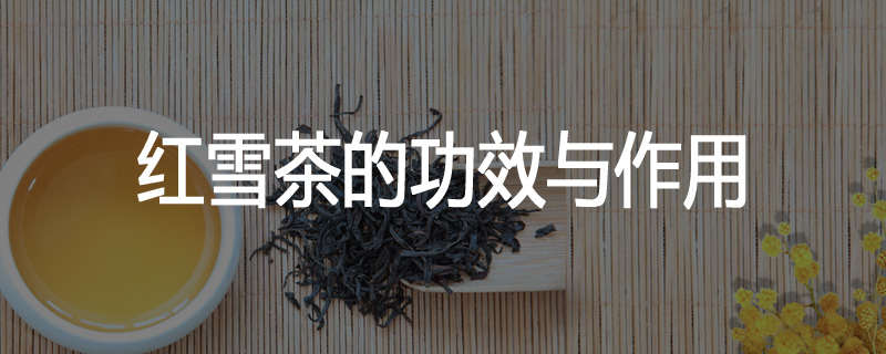 红雪茶的功效与作用